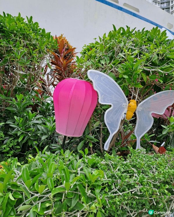 市區感受濃厚節日氣氛，喜慶氣息注滿黃埔號。浪漫拱門，看起來像...