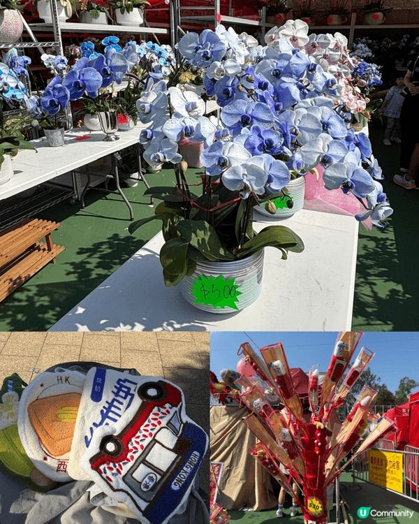 年廿九去銅鑼灣維園行年宵,真係充滿新年氣氛 🎉!今年攤位特別...