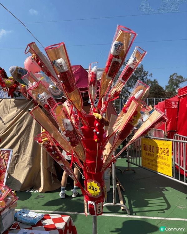 年廿九去銅鑼灣維園行年宵,真係充滿新年氣氛 🎉!今年攤位特別...