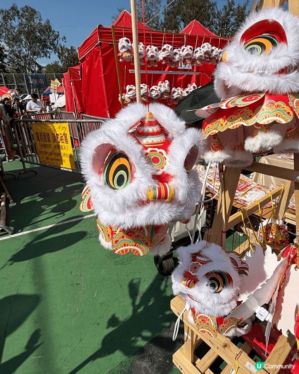 年廿九去銅鑼灣維園行年宵,真係充滿新年氣氛 🎉!今年攤位特別...