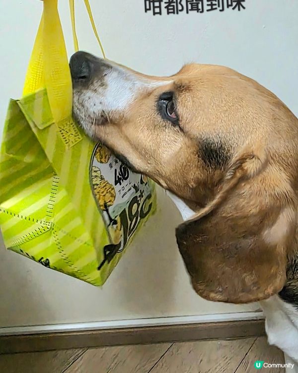 東海堂唔使點介紹啦, 都係賣麵包、西餅、蛋糕等等嘅 Bake...