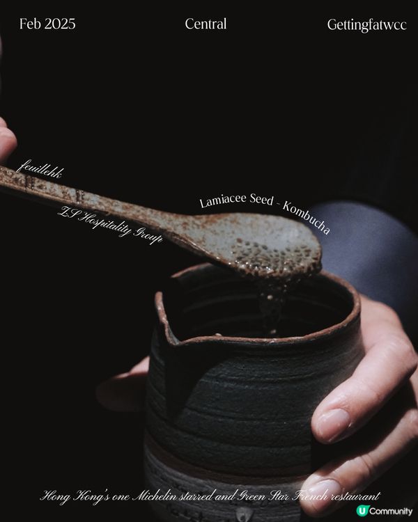 😋🌊 1688，清新滋味！ 🌳🍃