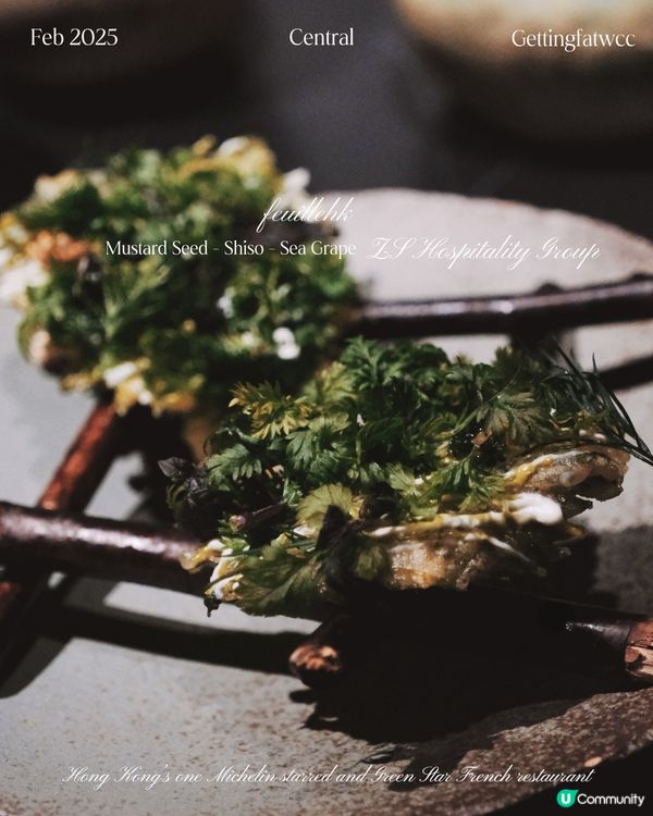 😋🌊 1688，清新滋味！ 🌳🍃