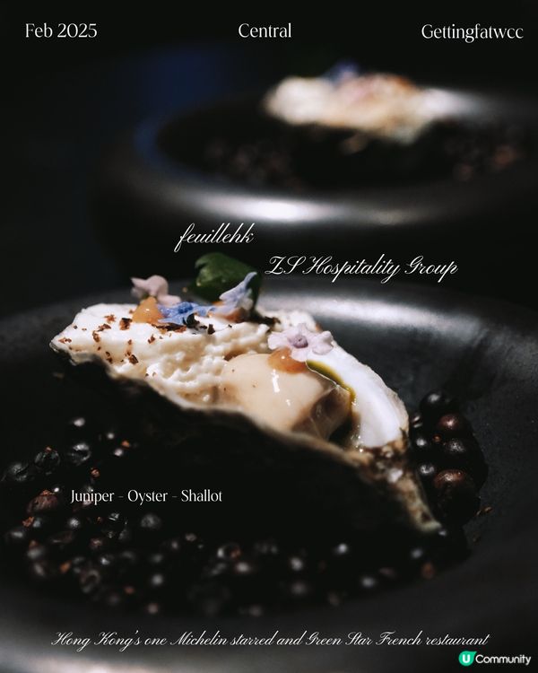 😋🌊 1688，清新滋味！ 🌳🍃