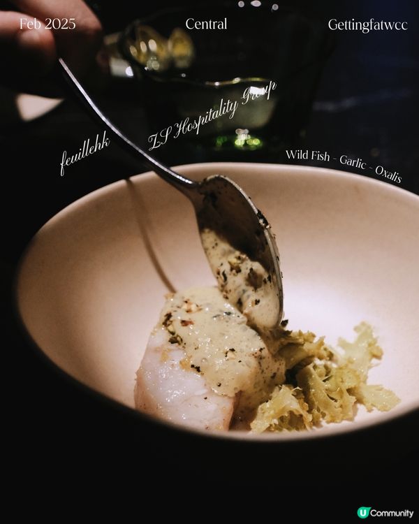 😋🌊 1688，清新滋味！ 🌳🍃