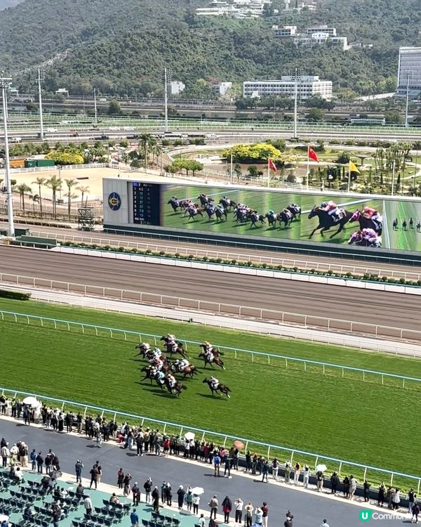 🇭🇰🏇馬年睇賽馬