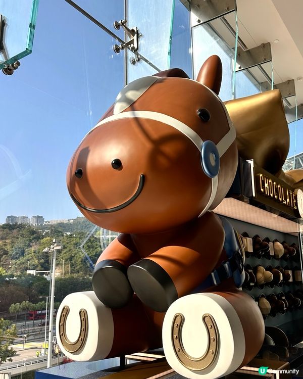 🇭🇰🏇馬年睇賽馬