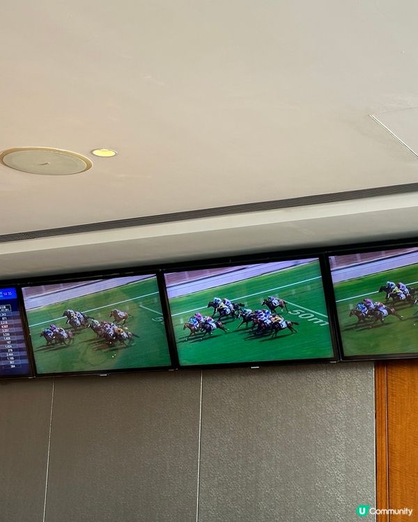 🇭🇰🏇馬年睇賽馬