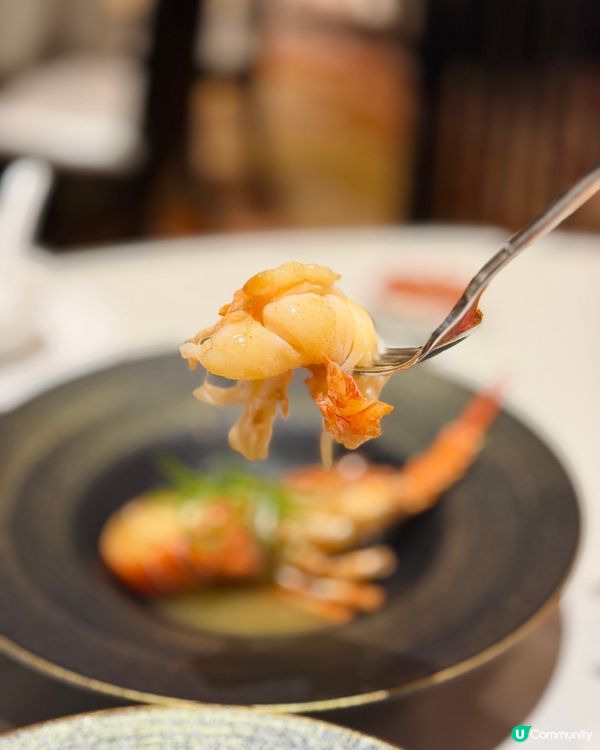 銅鑼灣富豪金殿粵菜盛宴🤩 ✨