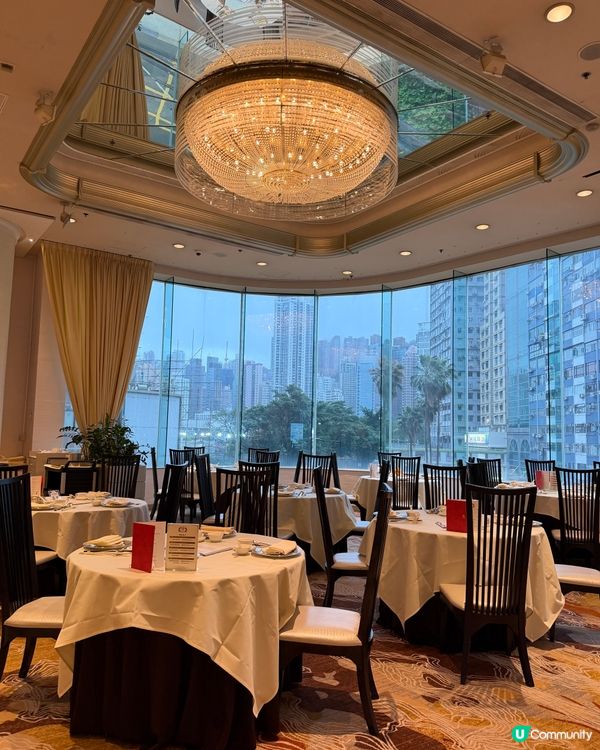 銅鑼灣富豪金殿粵菜盛宴🤩 ✨