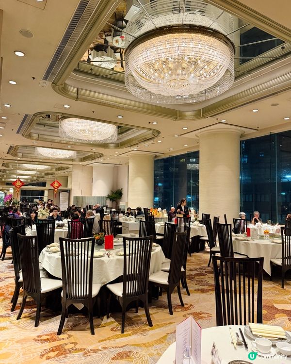 銅鑼灣富豪金殿粵菜盛宴🤩 ✨