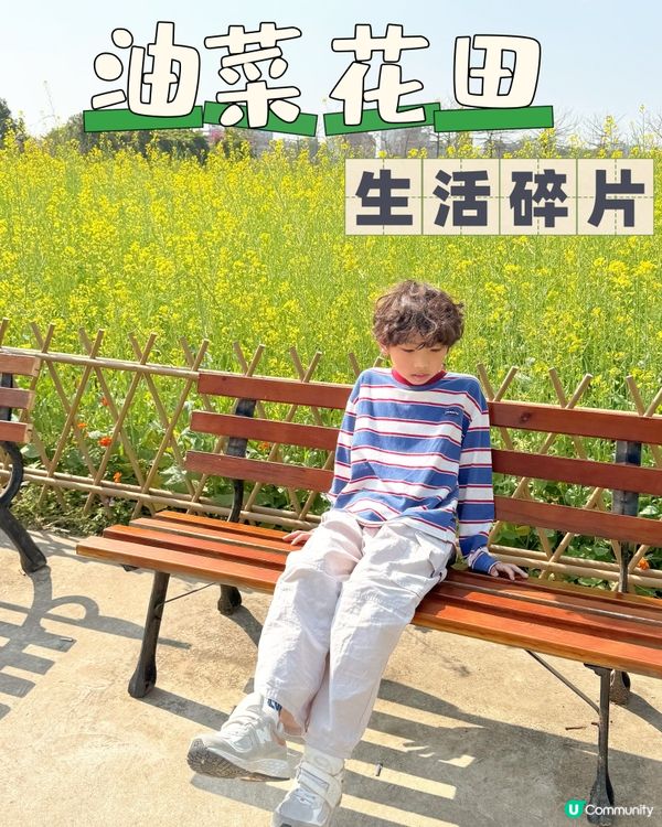 📍油菜花田･偽郊遊記