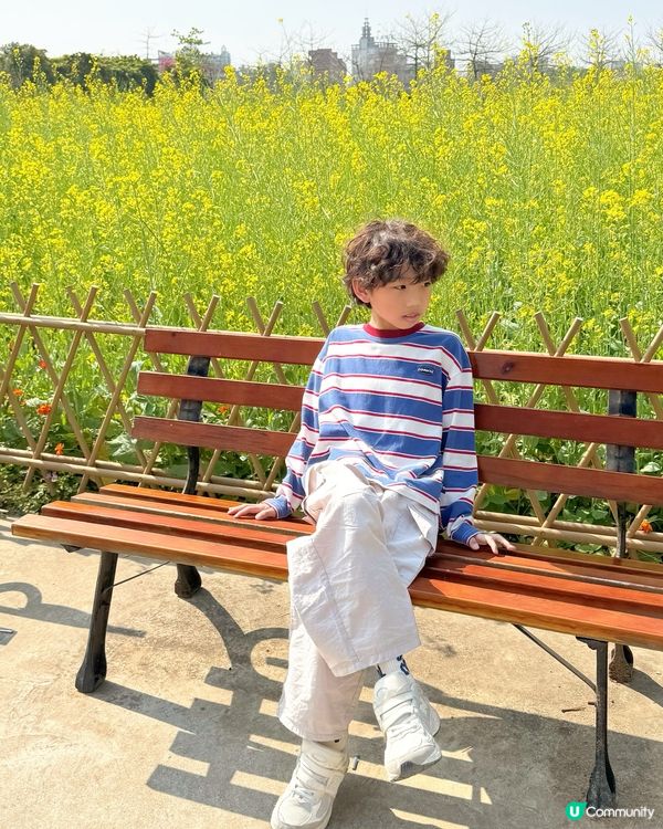 📍油菜花田･偽郊遊記