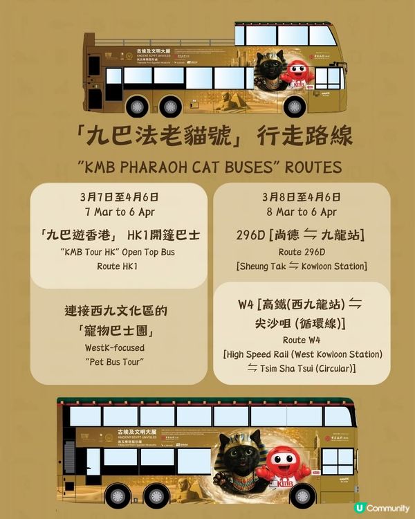 香港故宮「九巴法老貓號」 10輛主題巴士3月登場