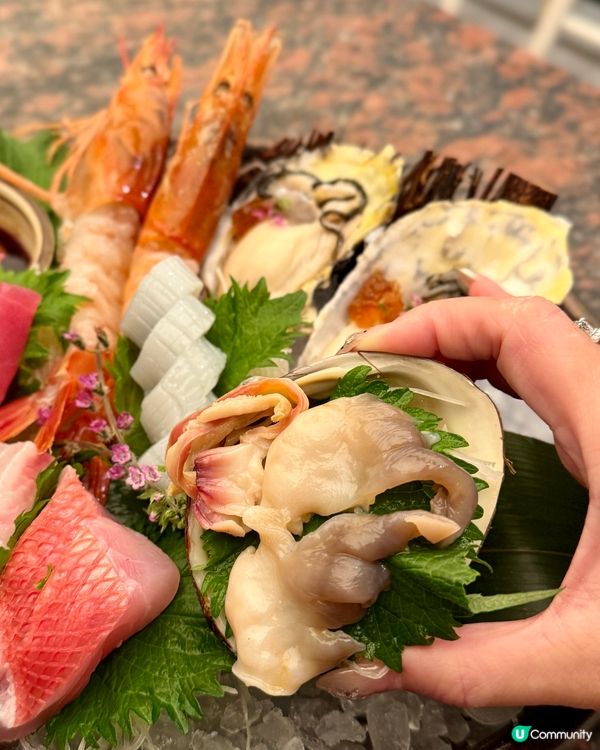 全新【春の味覺】限定餐目🐟🍣