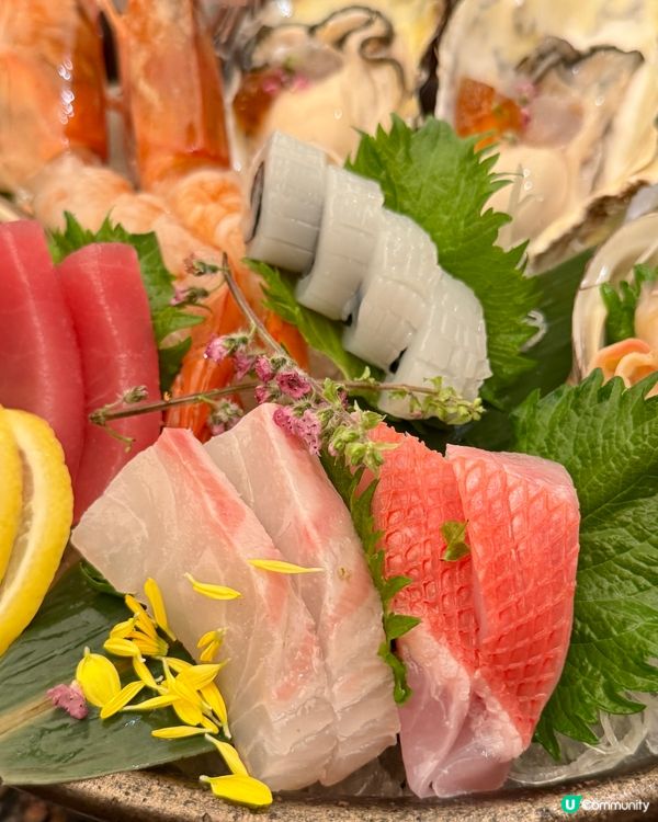 全新【春の味覺】限定餐目🐟🍣