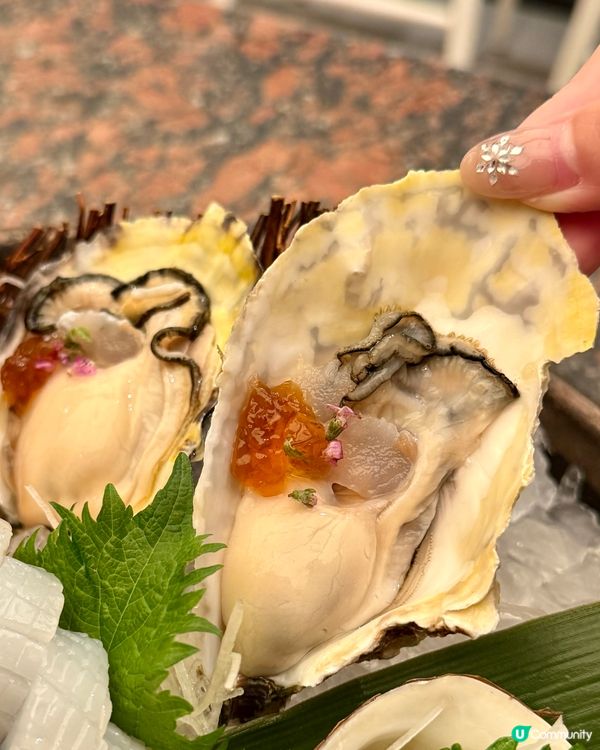 全新【春の味覺】限定餐目🐟🍣