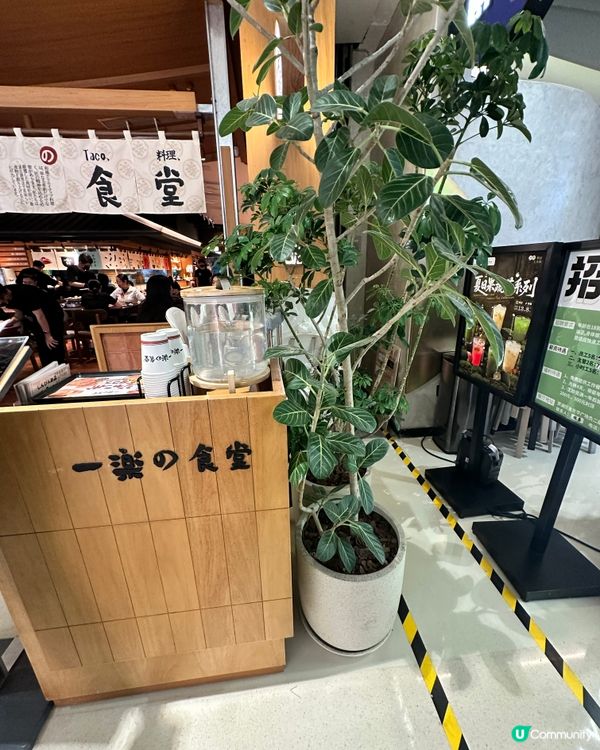 羅湖一日快閃：牙醫→美食→回港🦷🍜