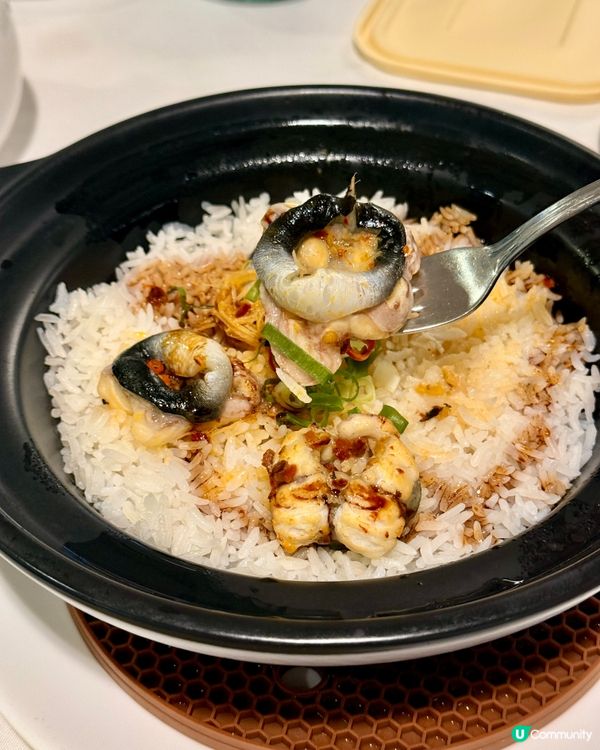 沙田麗豪酒店中菜廳😋非常高CP值🤤