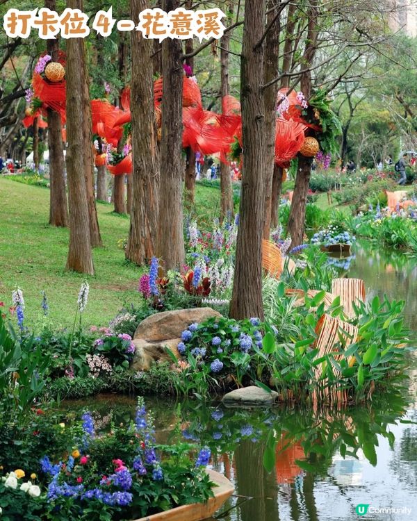 倒數7日! 深圳羅湖區公園月季花海🌸佔地3.5萬㎡/300+品種/6大打卡位📸