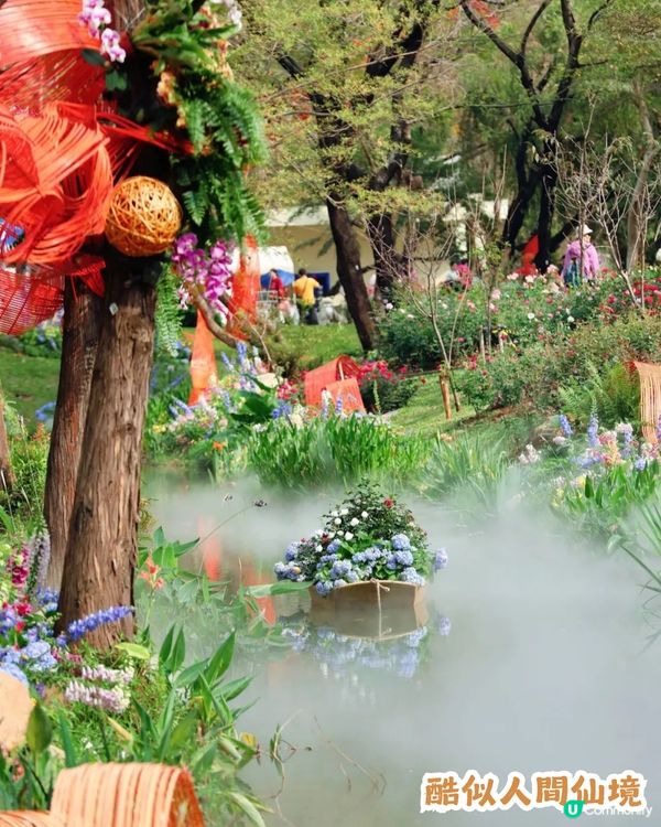 倒數7日! 深圳羅湖區公園月季花海🌸佔地3.5萬㎡/300+品種/6大打卡位📸