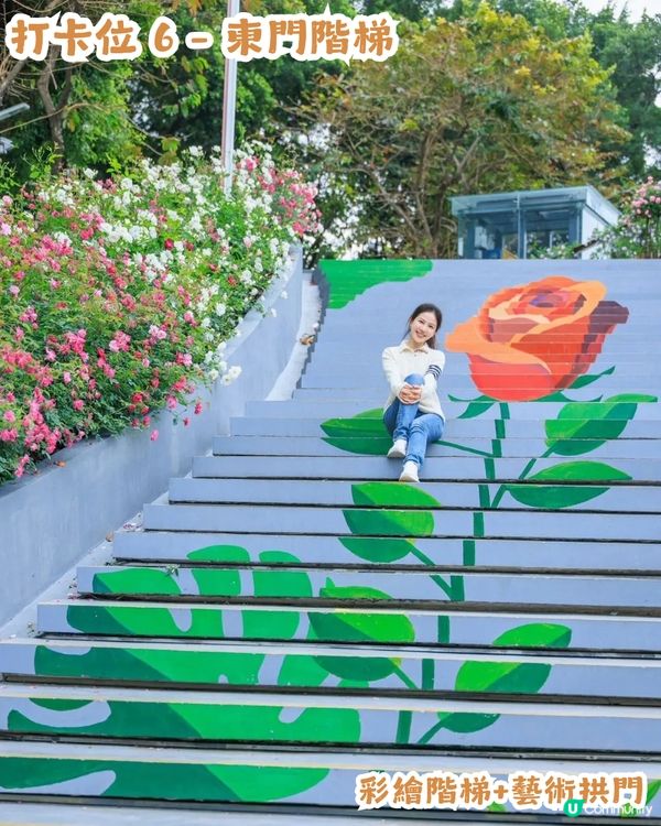 倒數7日! 深圳羅湖區公園月季花海🌸佔地3.5萬㎡/300+品種/6大打卡位📸