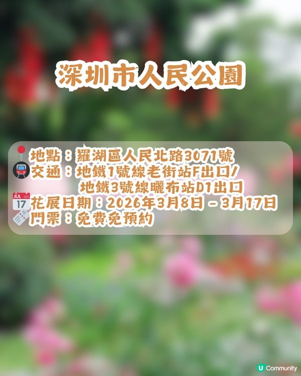 倒數7日! 深圳羅湖區公園月季花海🌸佔地3.5萬㎡/300+品種/6大打卡位📸