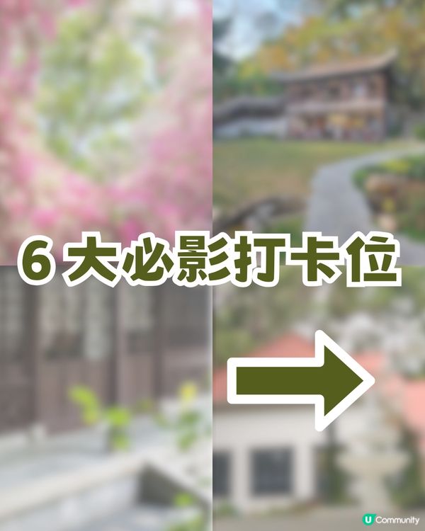 深圳福田區隱世後花園一日遊！10米三角梅花瀑布/中式古風/法式秘境