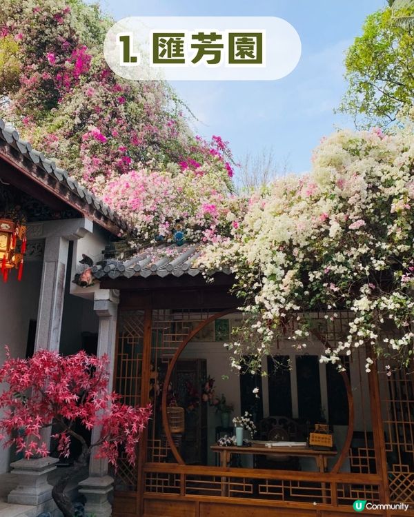 深圳福田區隱世後花園一日遊！10米三角梅花瀑布/中式古風/法式秘境