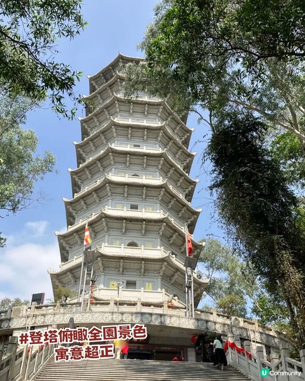 深圳福田區隱世後花園一日遊！10米三角梅花瀑布/中式古風/法式秘境