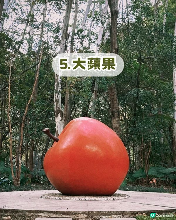 深圳福田區隱世後花園一日遊！10米三角梅花瀑布/中式古風/法式秘境