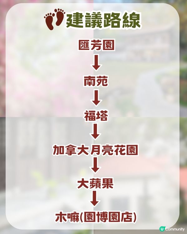 深圳福田區隱世後花園一日遊！10米三角梅花瀑布/中式古風/法式秘境