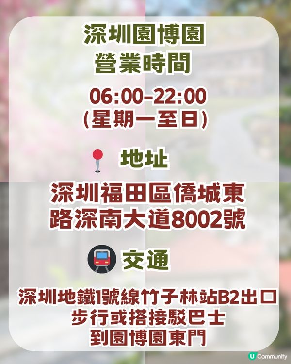 深圳福田區隱世後花園一日遊！10米三角梅花瀑布/中式古風/法式秘境