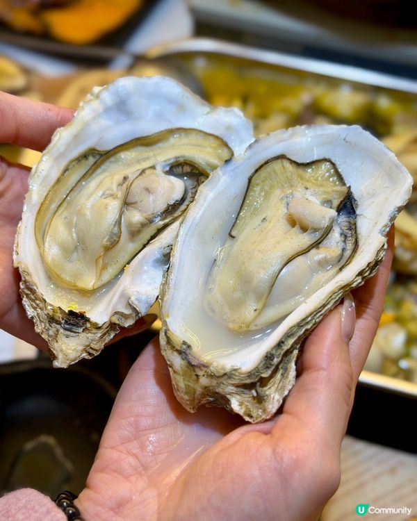 羅湖深夜美食🔥黃貝嶺必試！🐟🥢