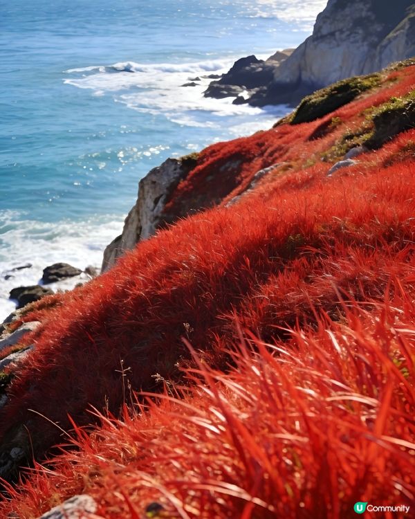 被遺忘的海上秘境！福建四礵列島