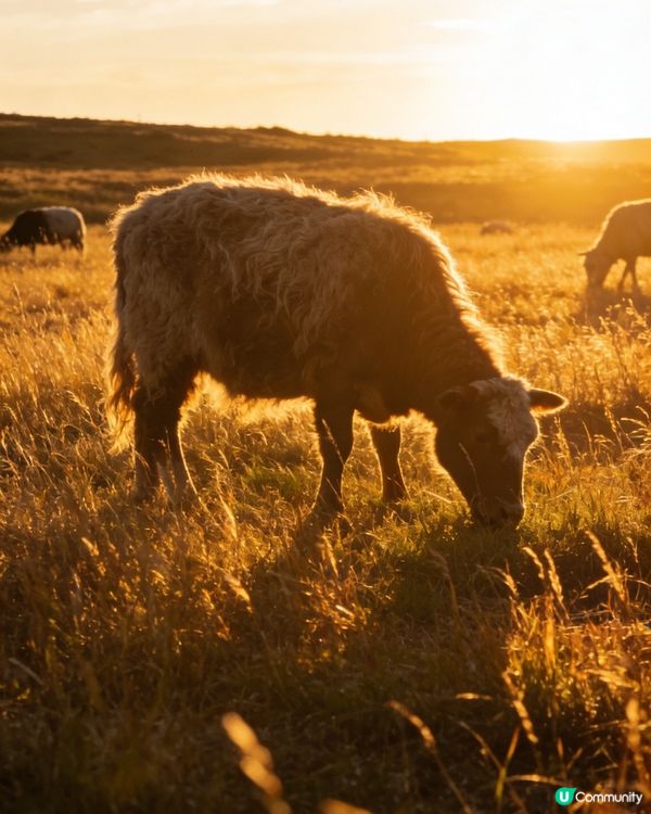 新疆喀納斯後花園-禾木秘境