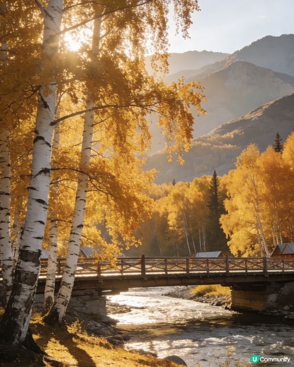 新疆喀納斯後花園-禾木秘境