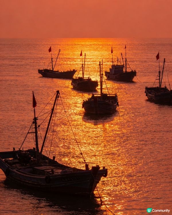 福建漳州鎮海角：一半山海一半牧場的治癒秘境