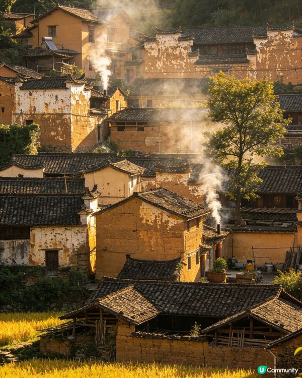 山間金黃鄉村🏡✨ 靚景唔洗人擠人🚶‍♀️🚶‍♂️