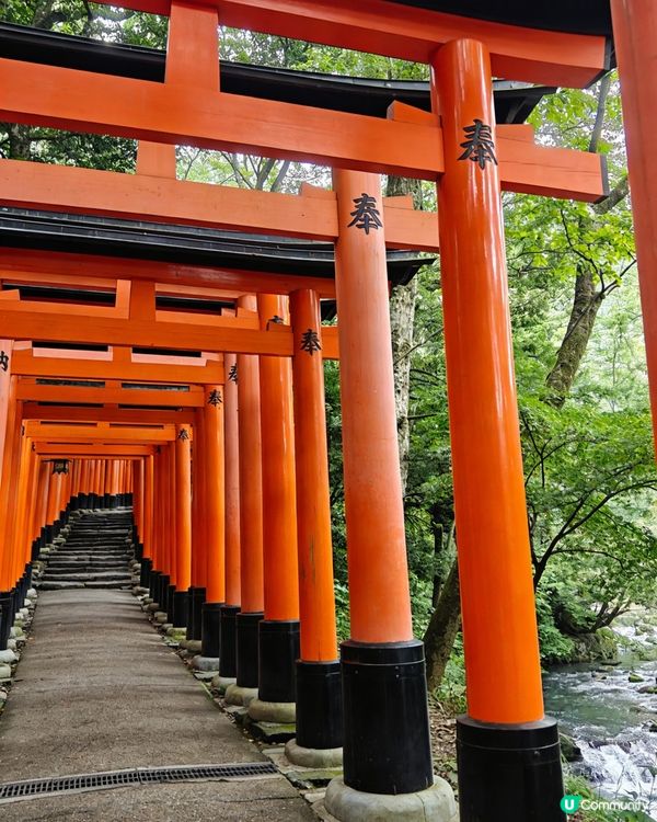 上帝調色盤📸！四季美景任你遊🎨