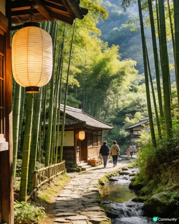 上帝調色盤📸！四季美景任你遊🎨