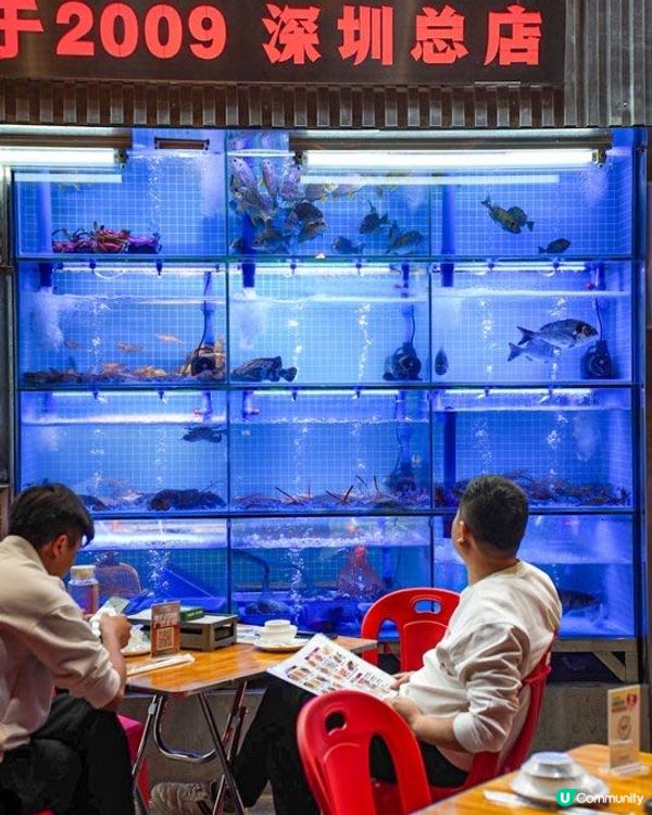 炭火香爆！🤤 16年老店排隊燒烤 🔥