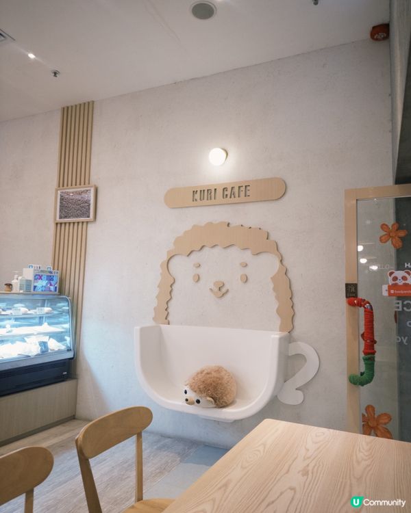 🦔大埔可愛刺蝟主題Cafe!仲係pet friendly 🐾