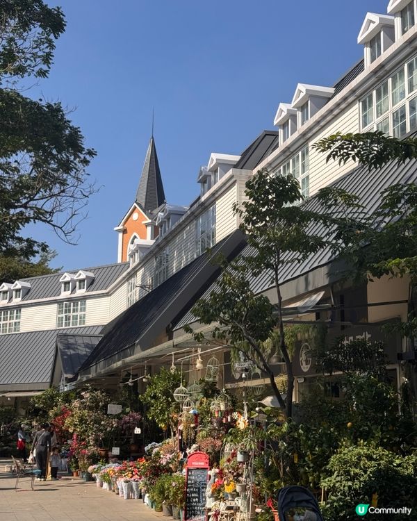 深圳隱藏：荷蘭花卉小鎮🚶‍♀️🌸✨