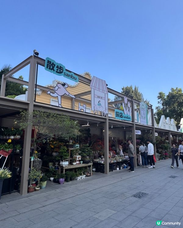 深圳隱藏：荷蘭花卉小鎮🚶‍♀️🌸✨