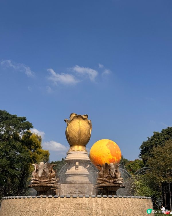 深圳隱藏：荷蘭花卉小鎮🚶‍♀️🌸✨