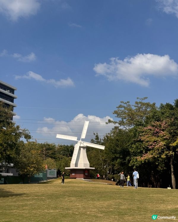 深圳隱藏：荷蘭花卉小鎮🚶‍♀️🌸✨