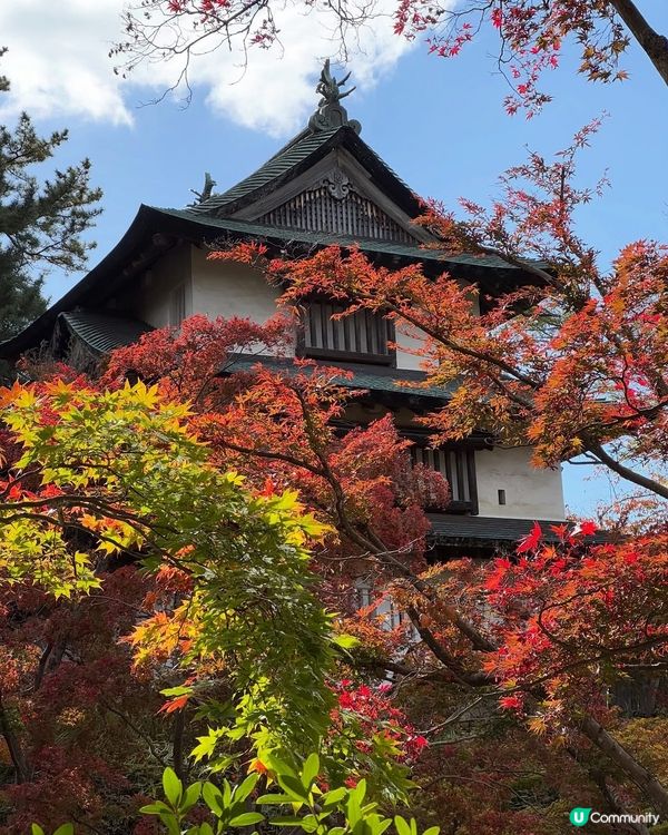 🇯🇵紅葉之旅🍁弘前城