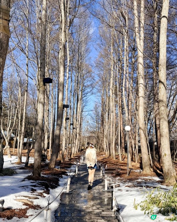 東京近郊｜位於長野縣非常著名的度假小鎮