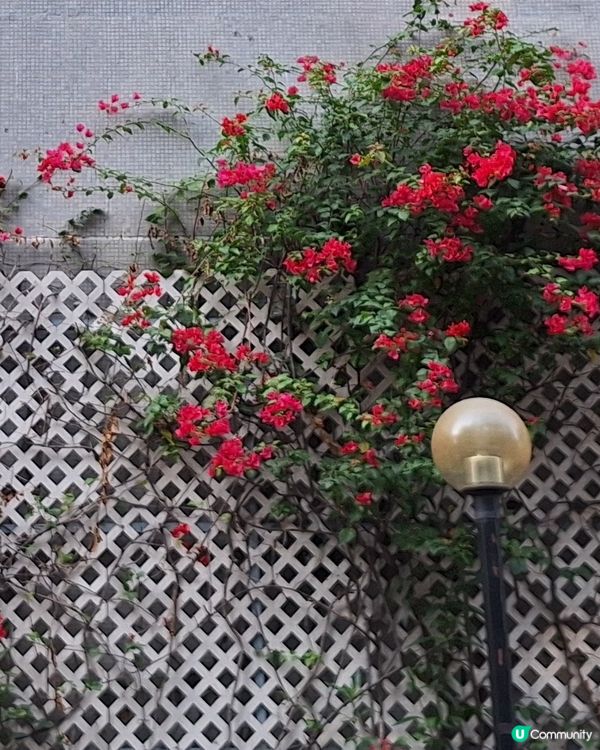 攝影好去處